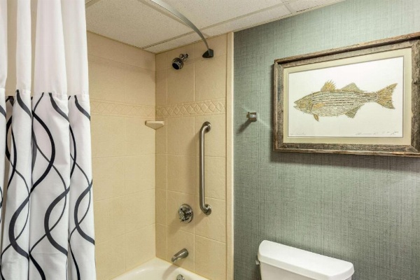 Edgar Hotel Martha's Vineyard, Ascend Hotel Collection image 24